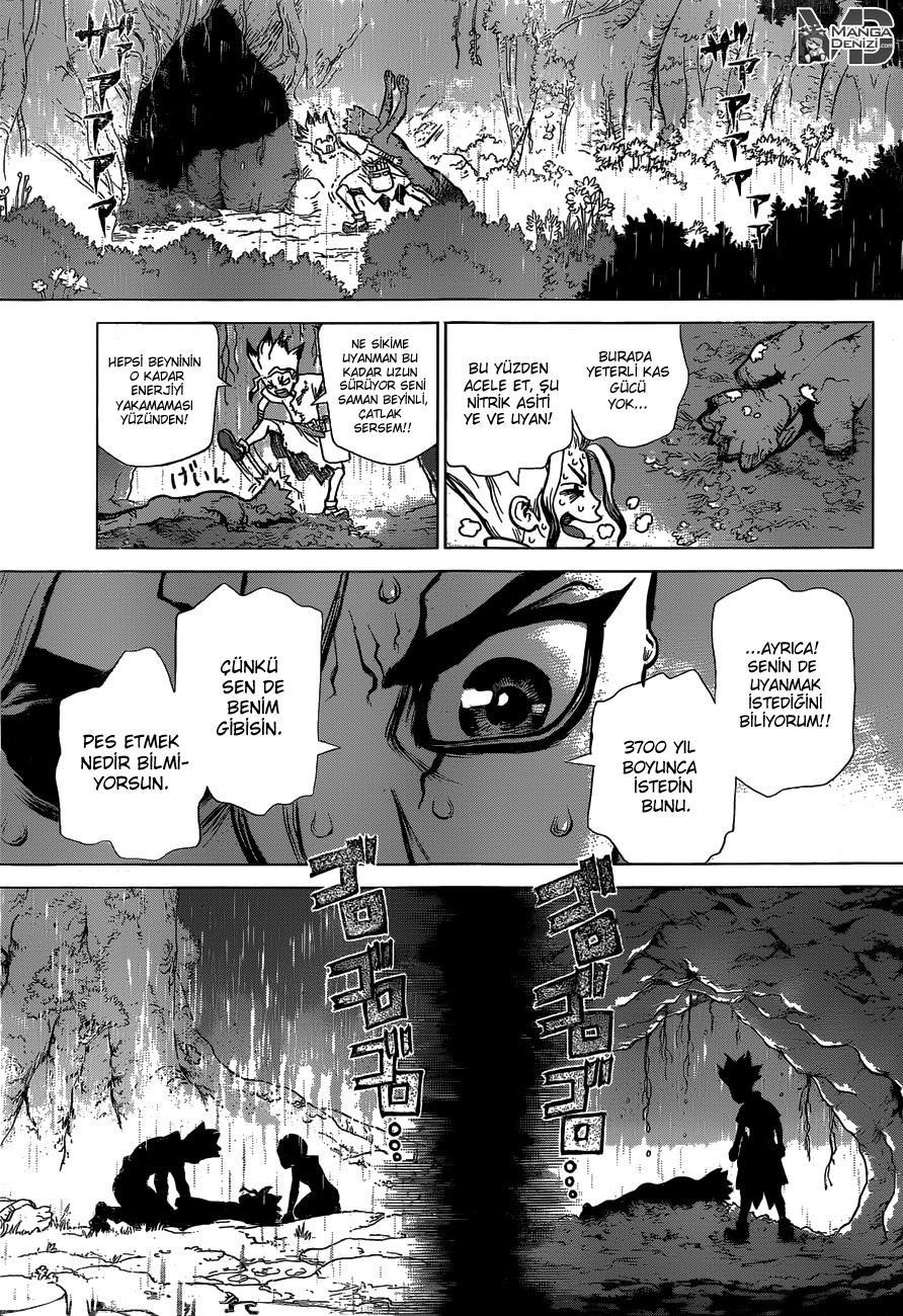 Dr. Stone mangasının 14 bölümünün 17. sayfasını okuyorsunuz.