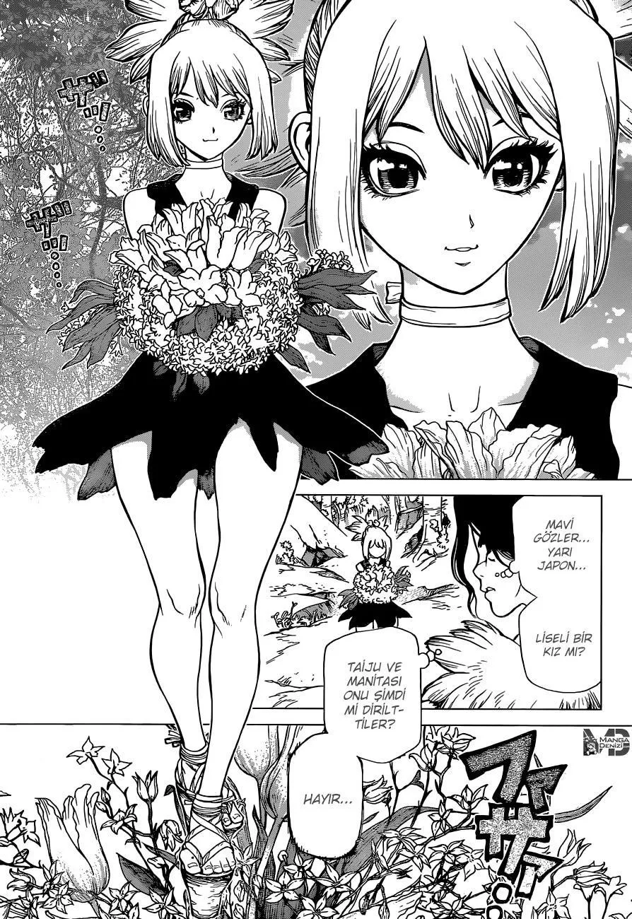 Dr. Stone - Sayfa 4
