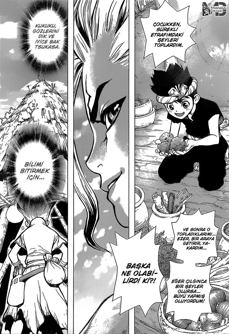 Dr. Stone - Sayfa 15
