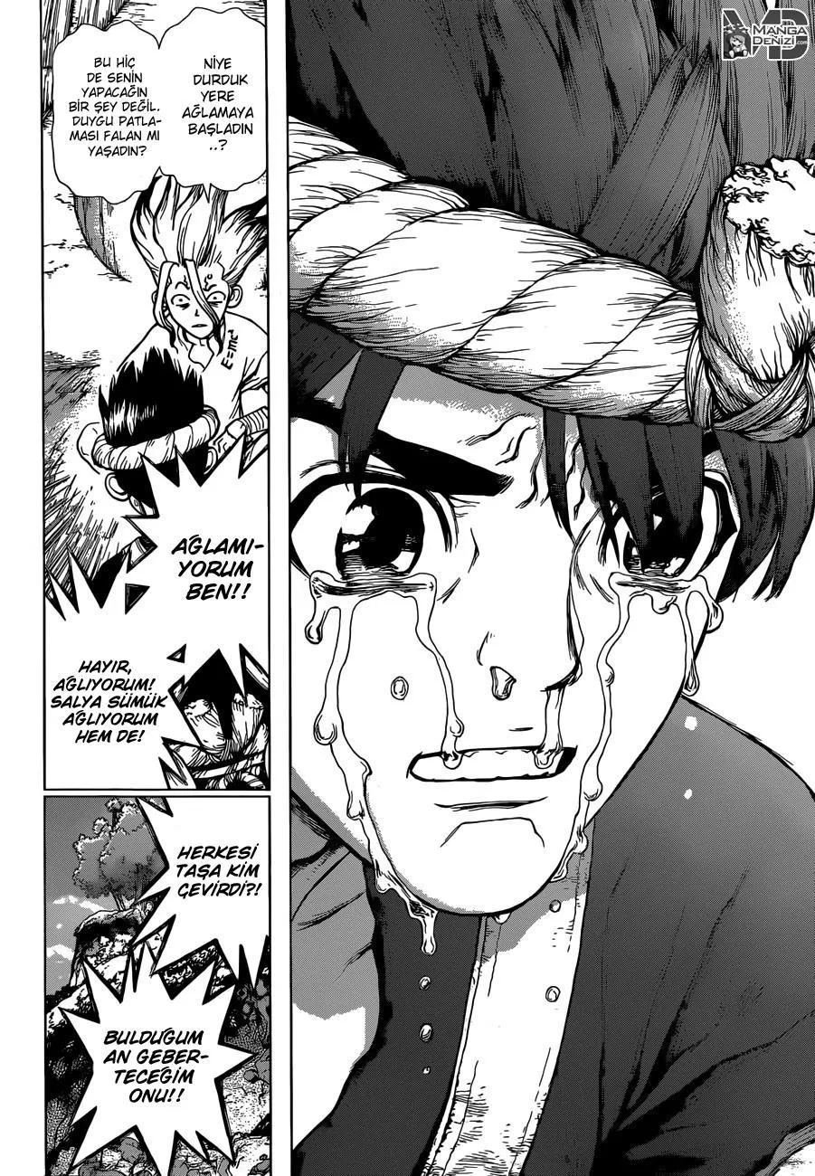 Dr. Stone - Sayfa 15