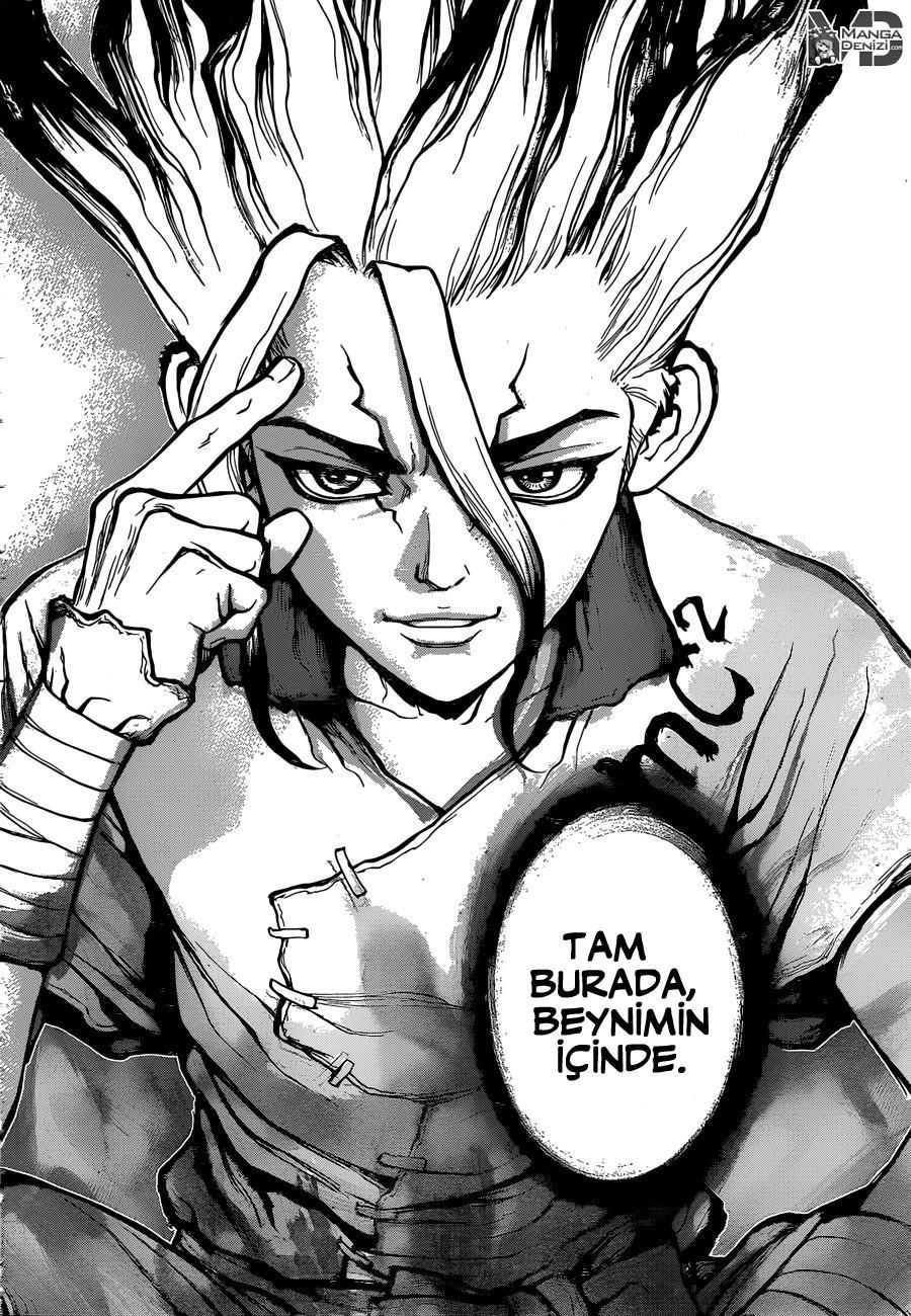 Dr. Stone mangasının 19 bölümünün 17. sayfasını okuyorsunuz.