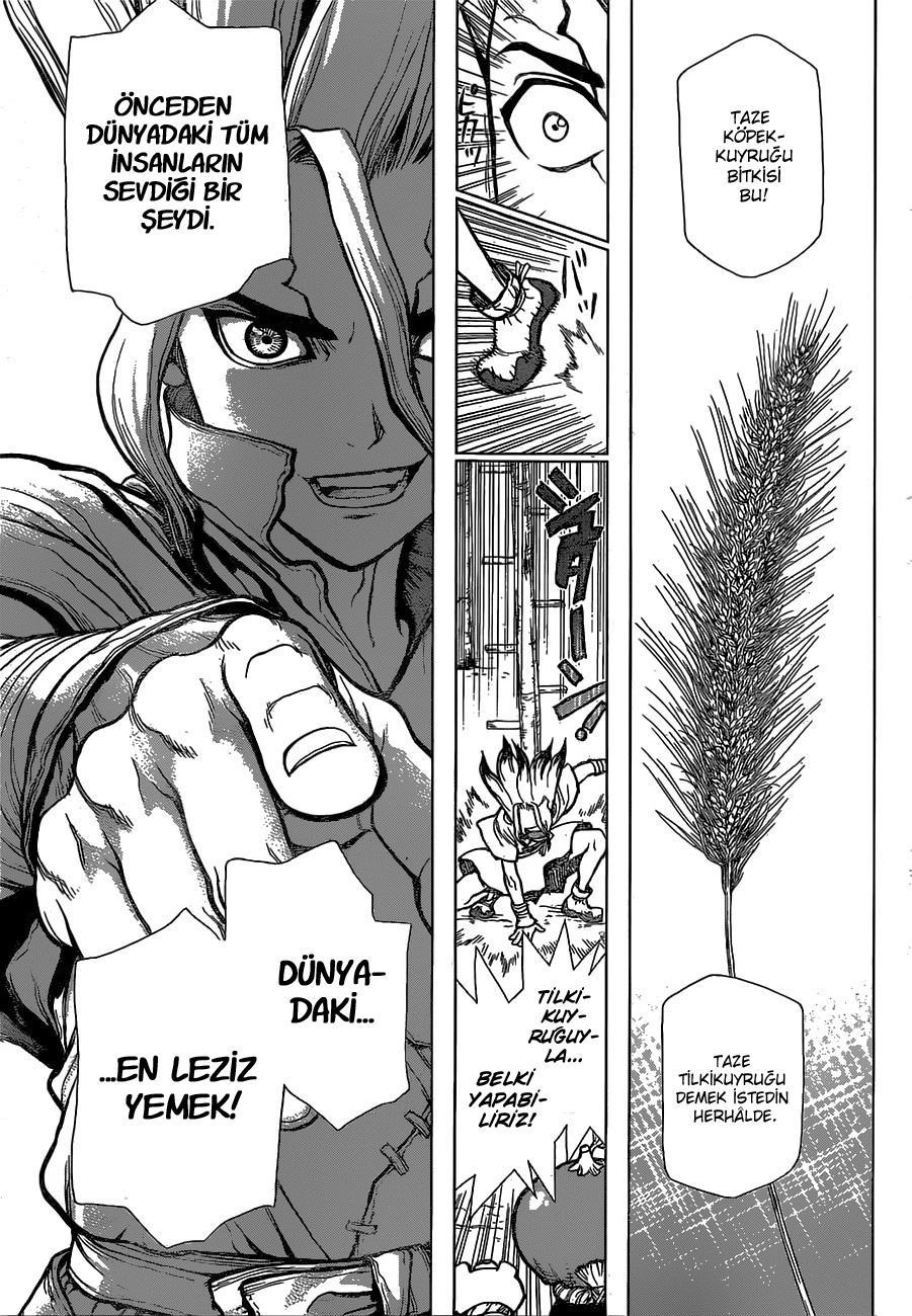 Dr. Stone mangasının 22 bölümünün 9. sayfasını okuyorsunuz.