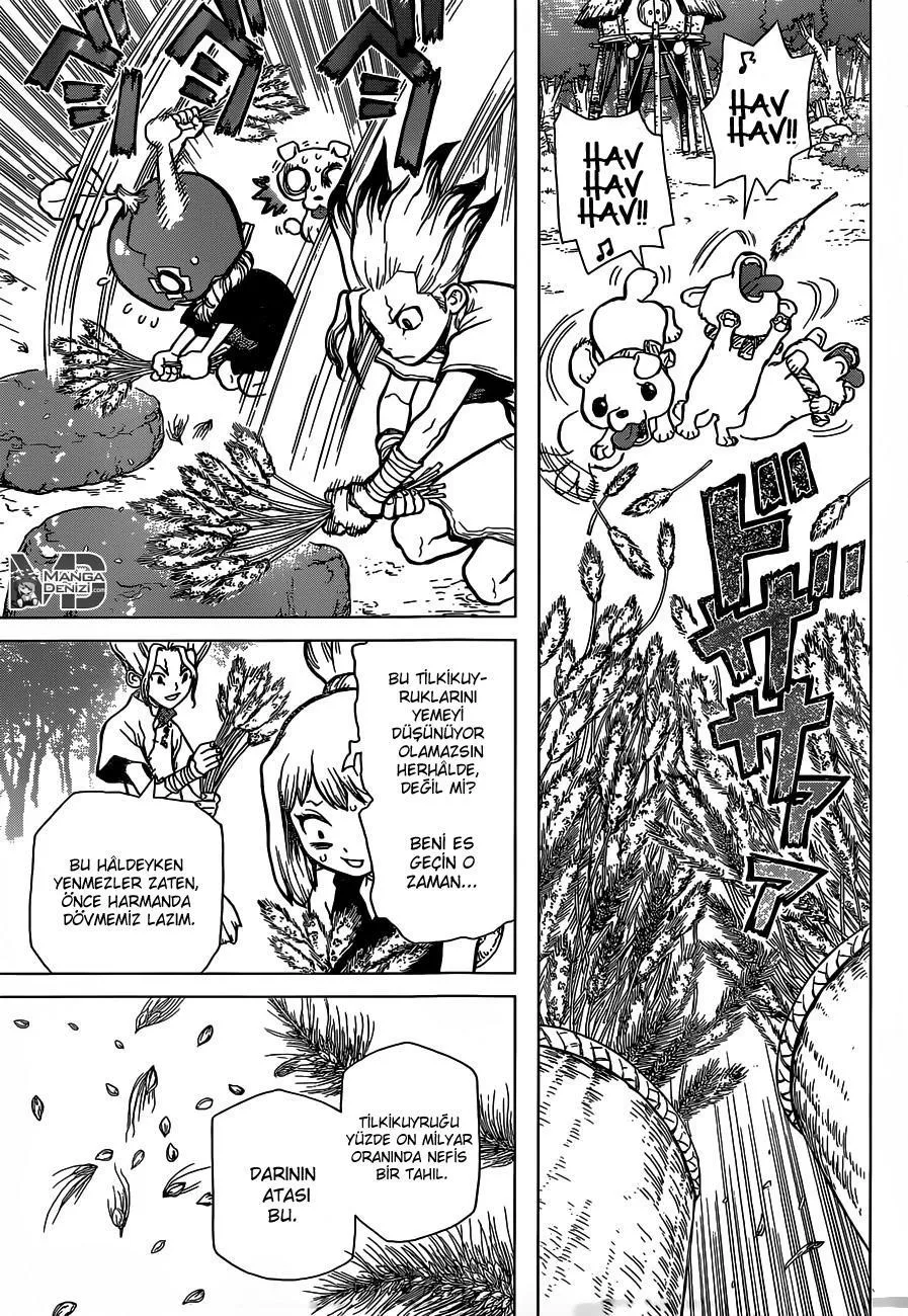 Dr. Stone - Sayfa 11