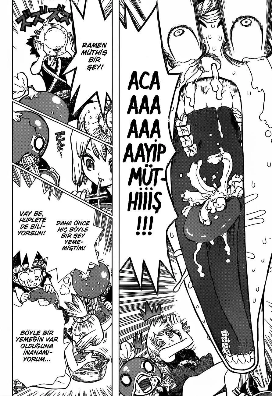 Dr. Stone - Sayfa 17