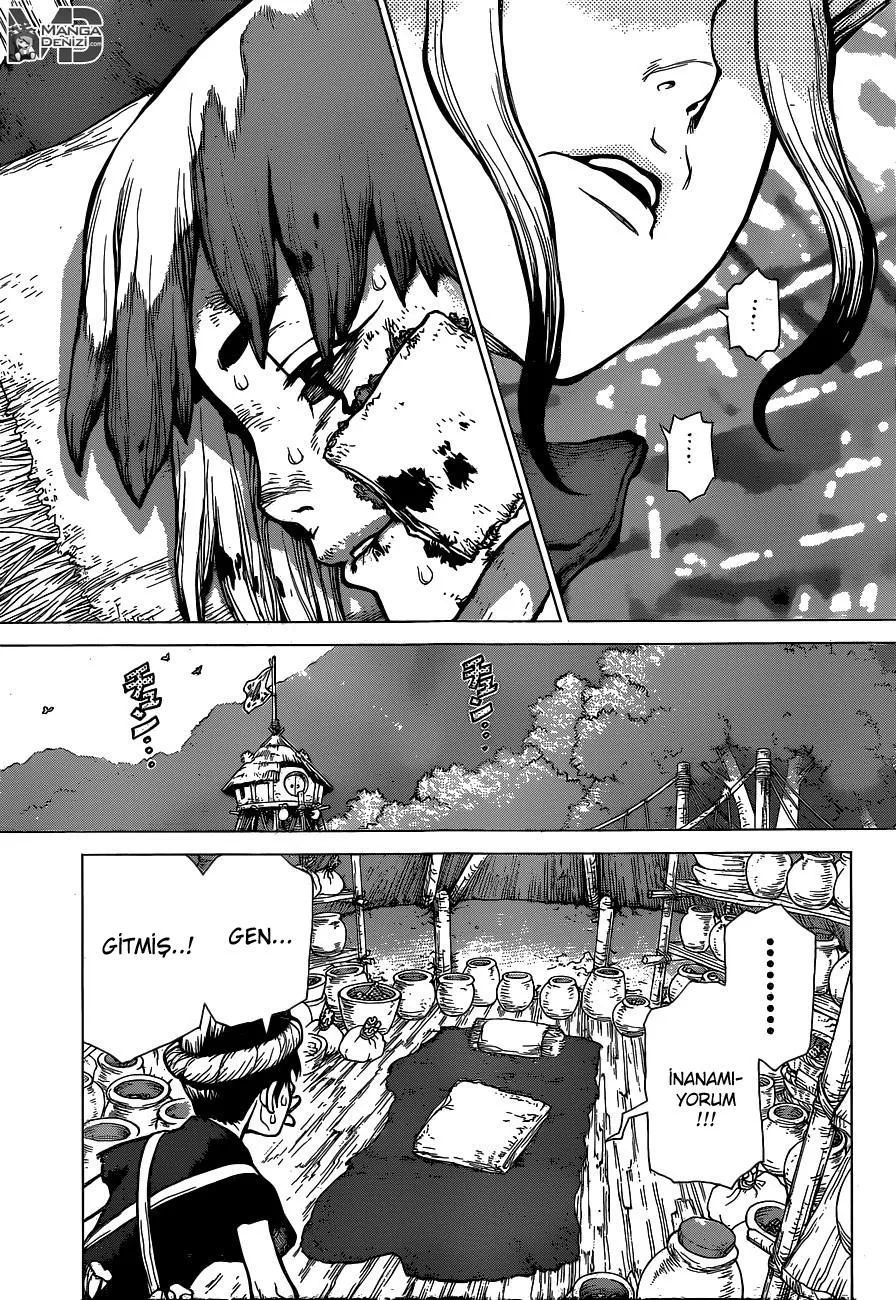 Dr. Stone - Sayfa 14