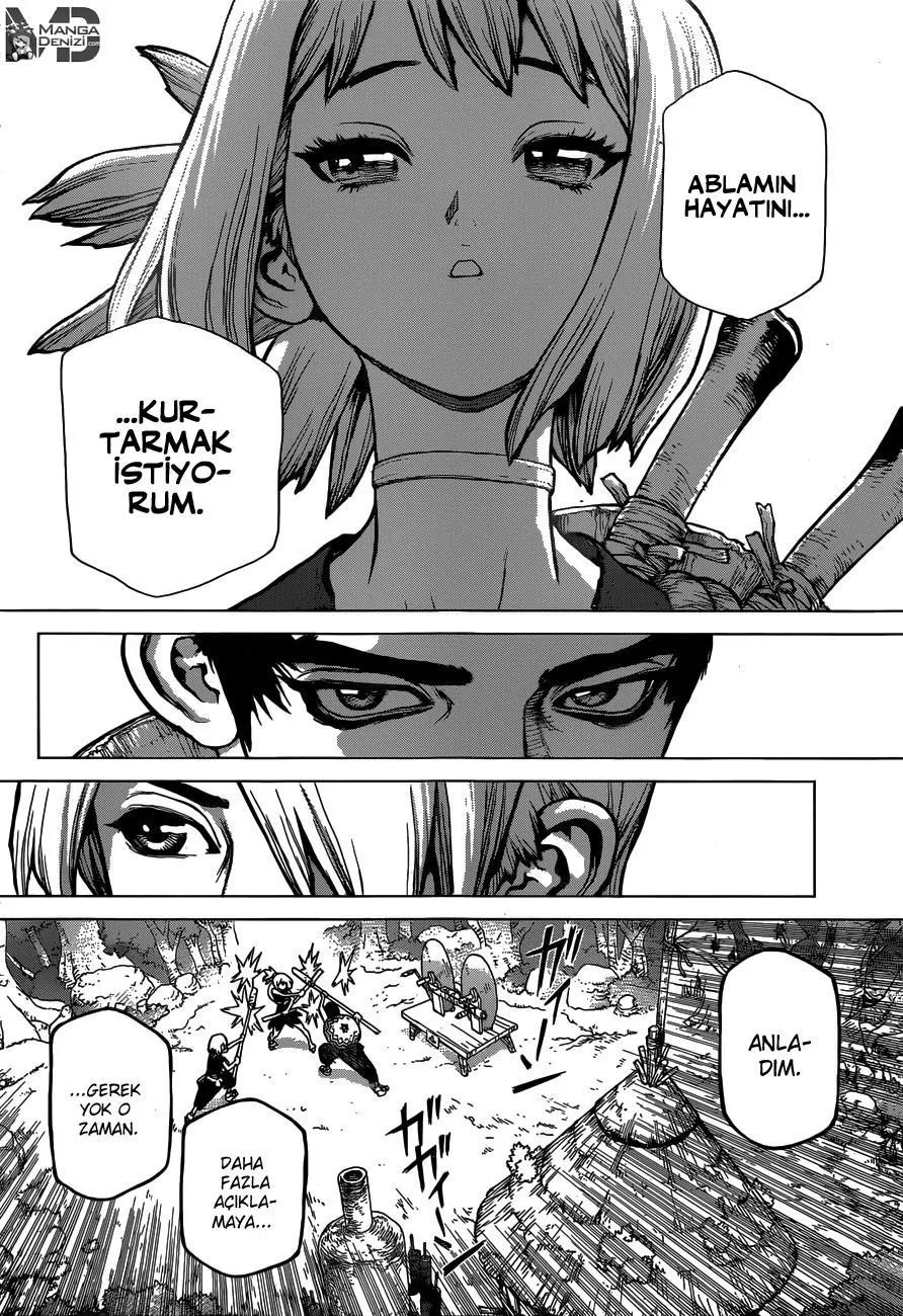 Dr. Stone - Sayfa 14