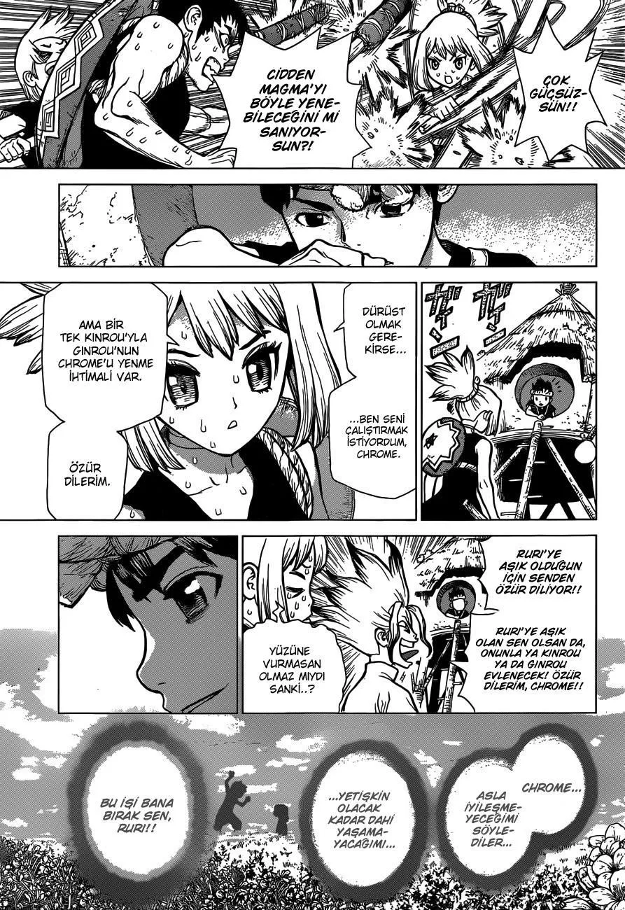 Dr. Stone - Sayfa 15