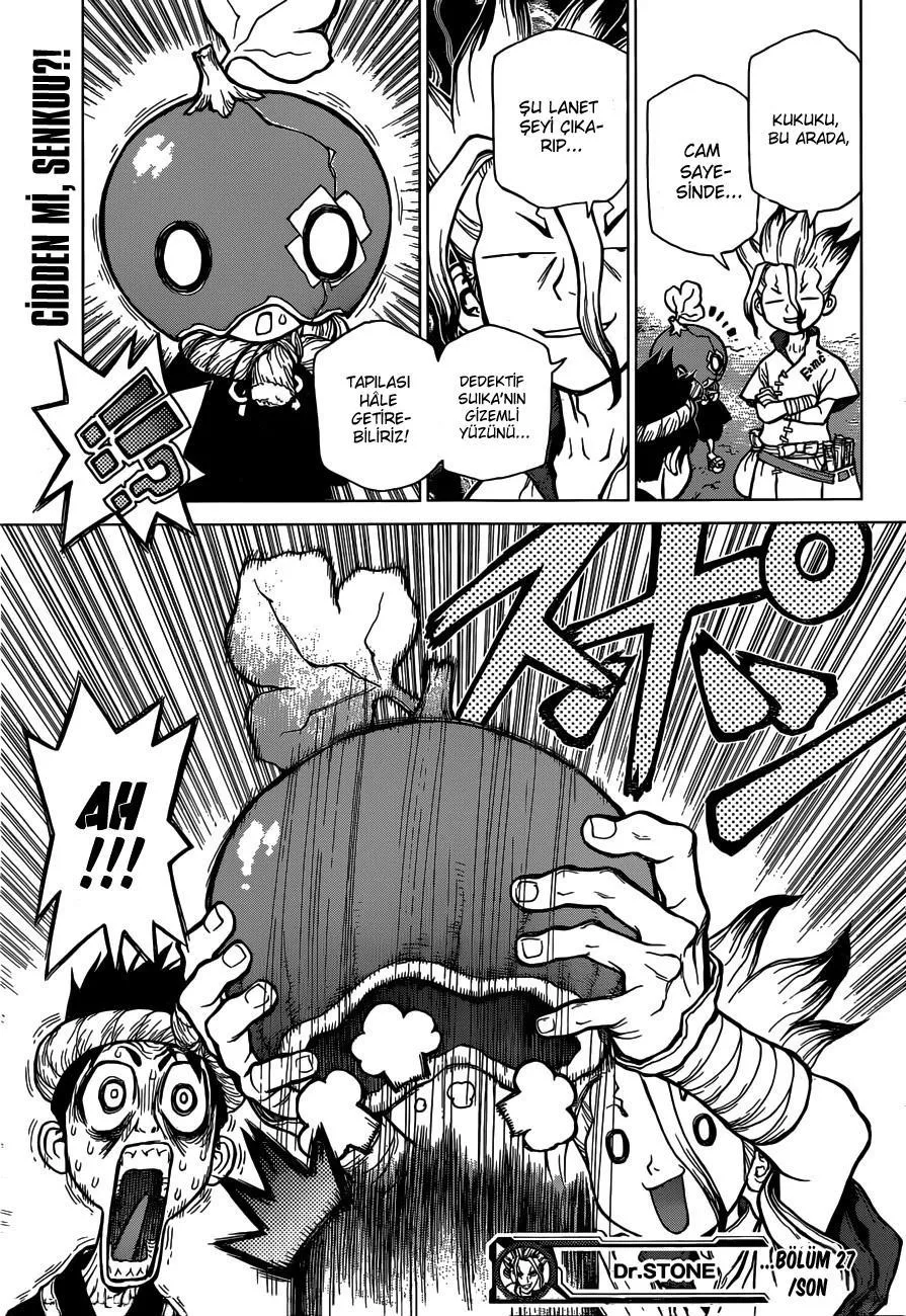 Dr. Stone - Sayfa 19