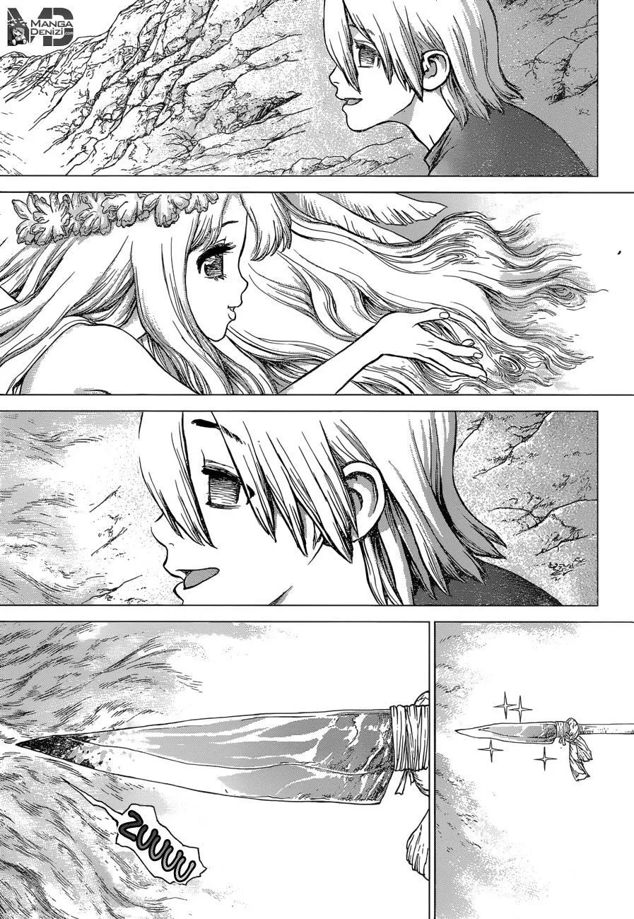 Dr. Stone - Sayfa 11