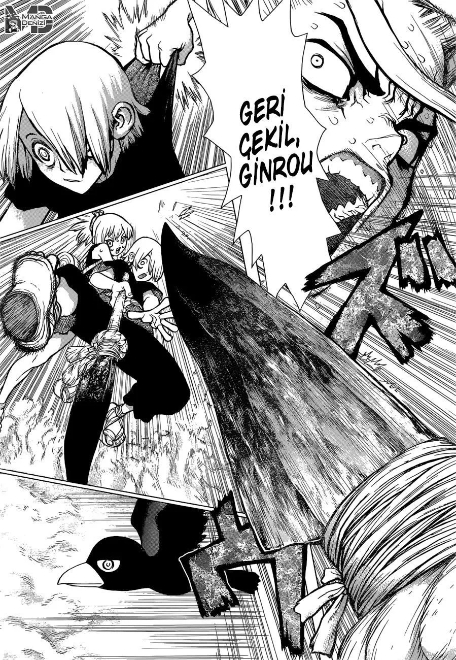 Dr. Stone - Sayfa 12