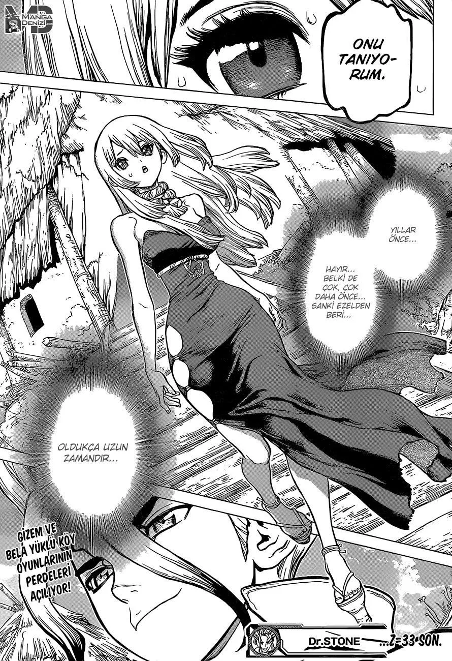 Dr. Stone - Sayfa 19