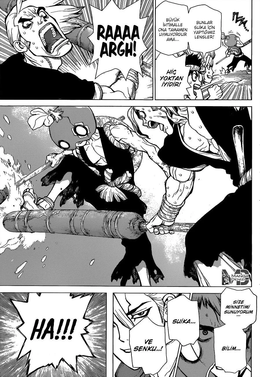 Dr. Stone - Sayfa 17