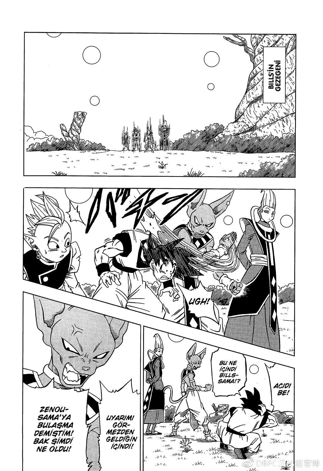 Dragon Ball Super - Sayfa 15