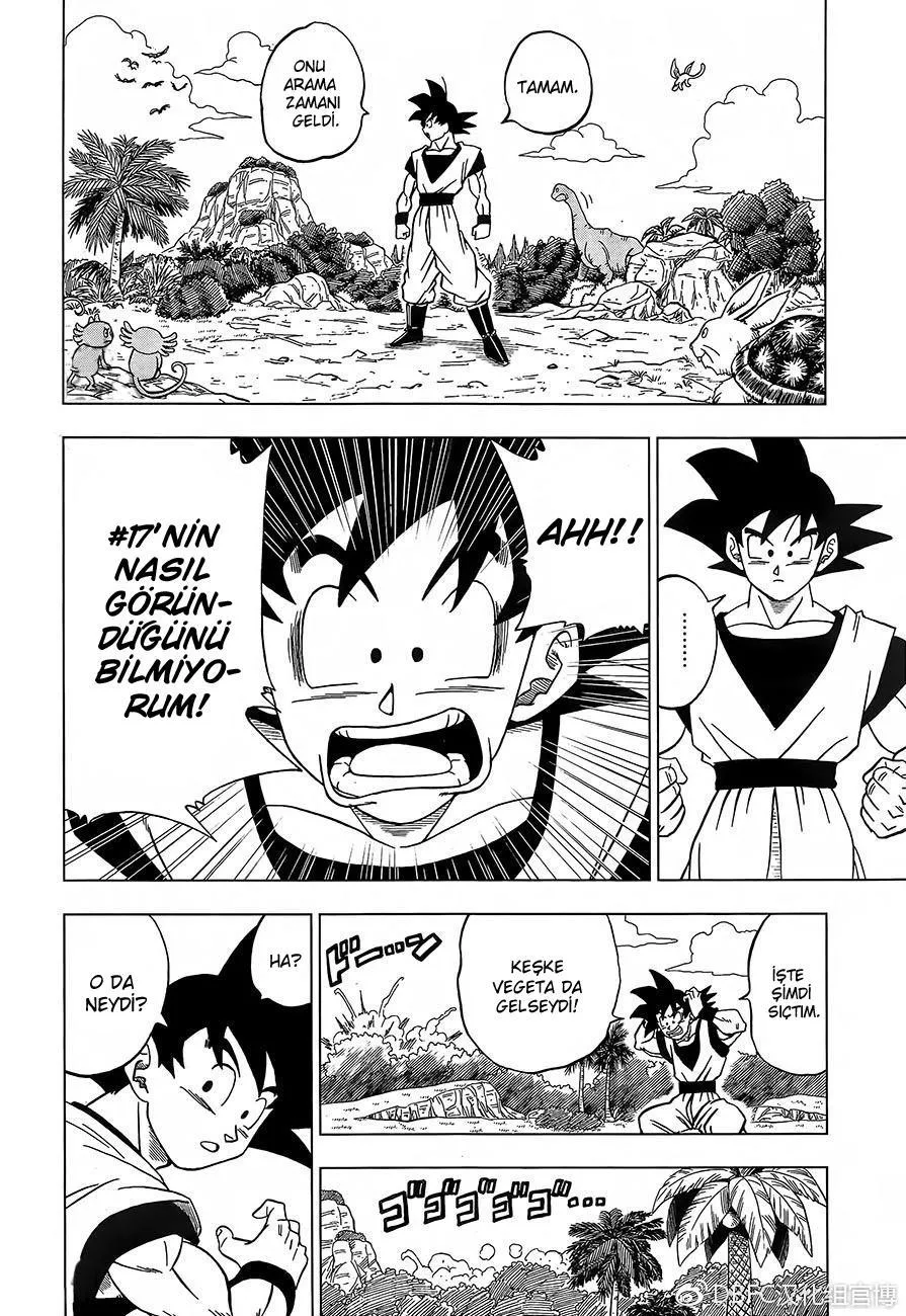 Dragon Ball Super - Sayfa 17