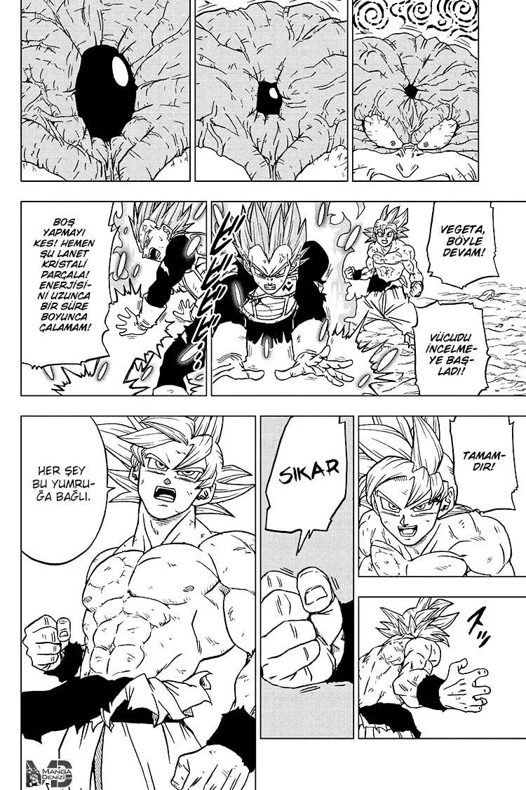 Dragon Ball Super - Sayfa 15