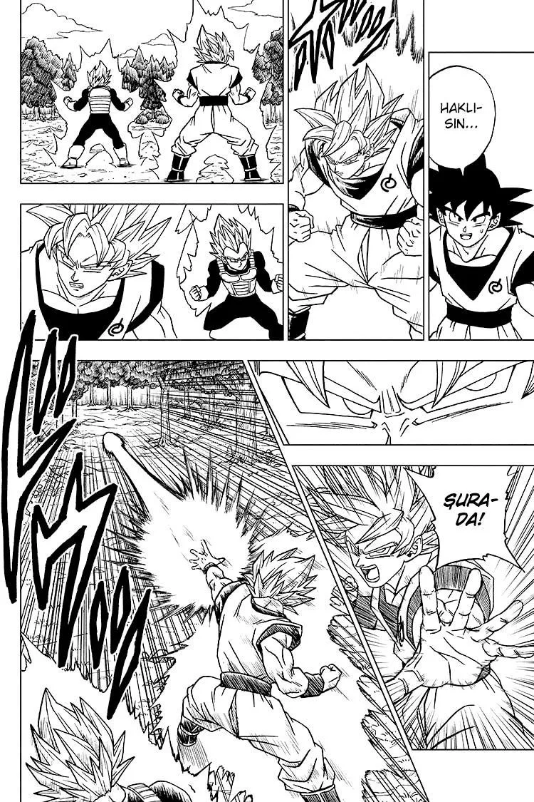 Dragon Ball Super - Sayfa 17