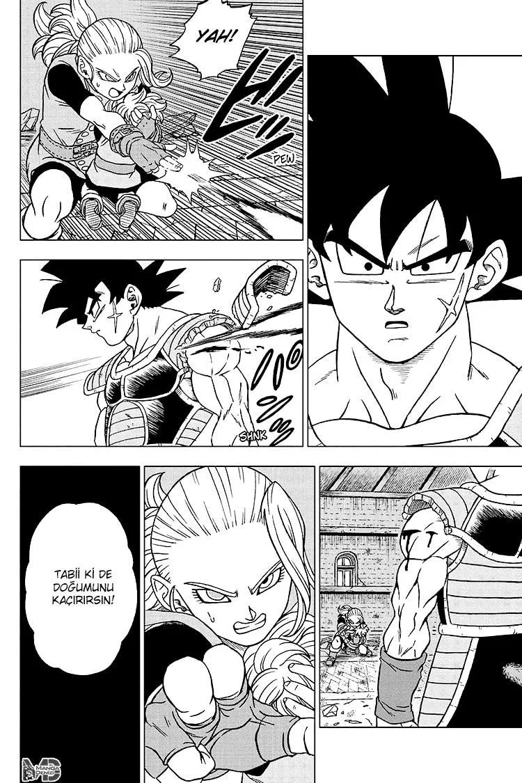 Dragon Ball Super - Sayfa 17