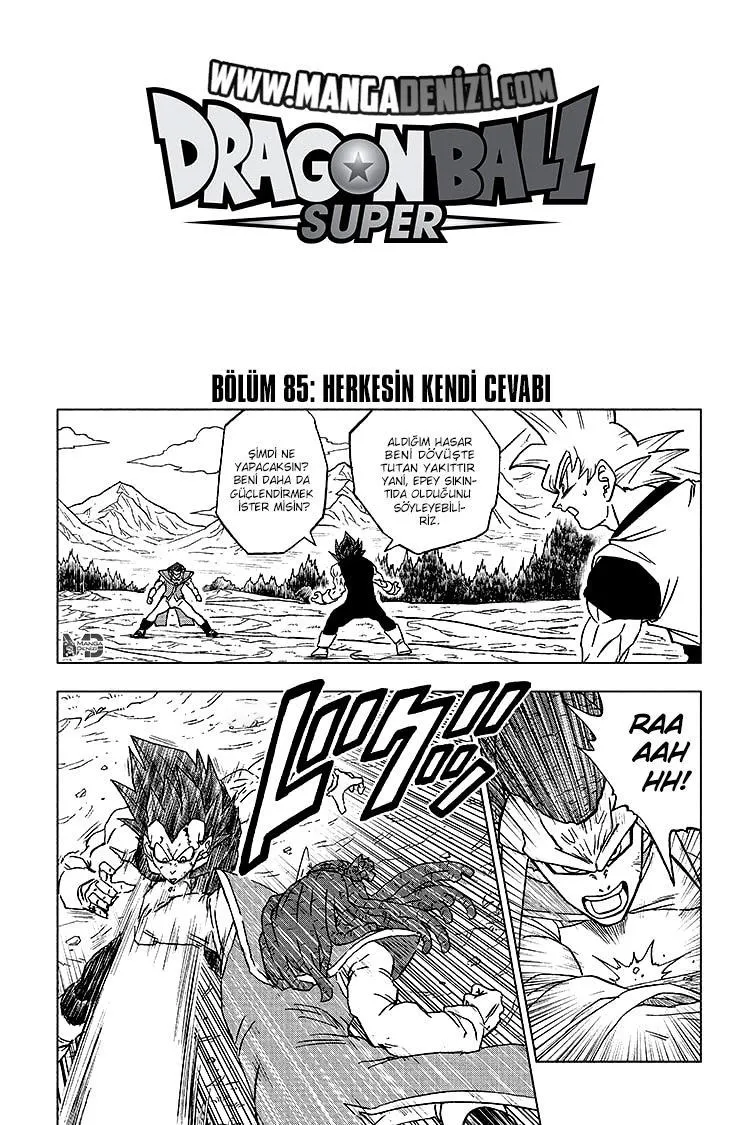 Dragon Ball Super - Sayfa 2