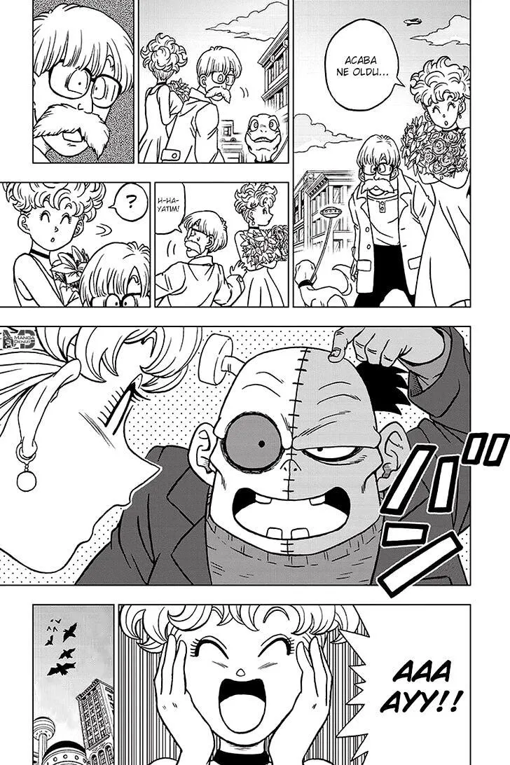 Dragon Ball Super - Sayfa 17