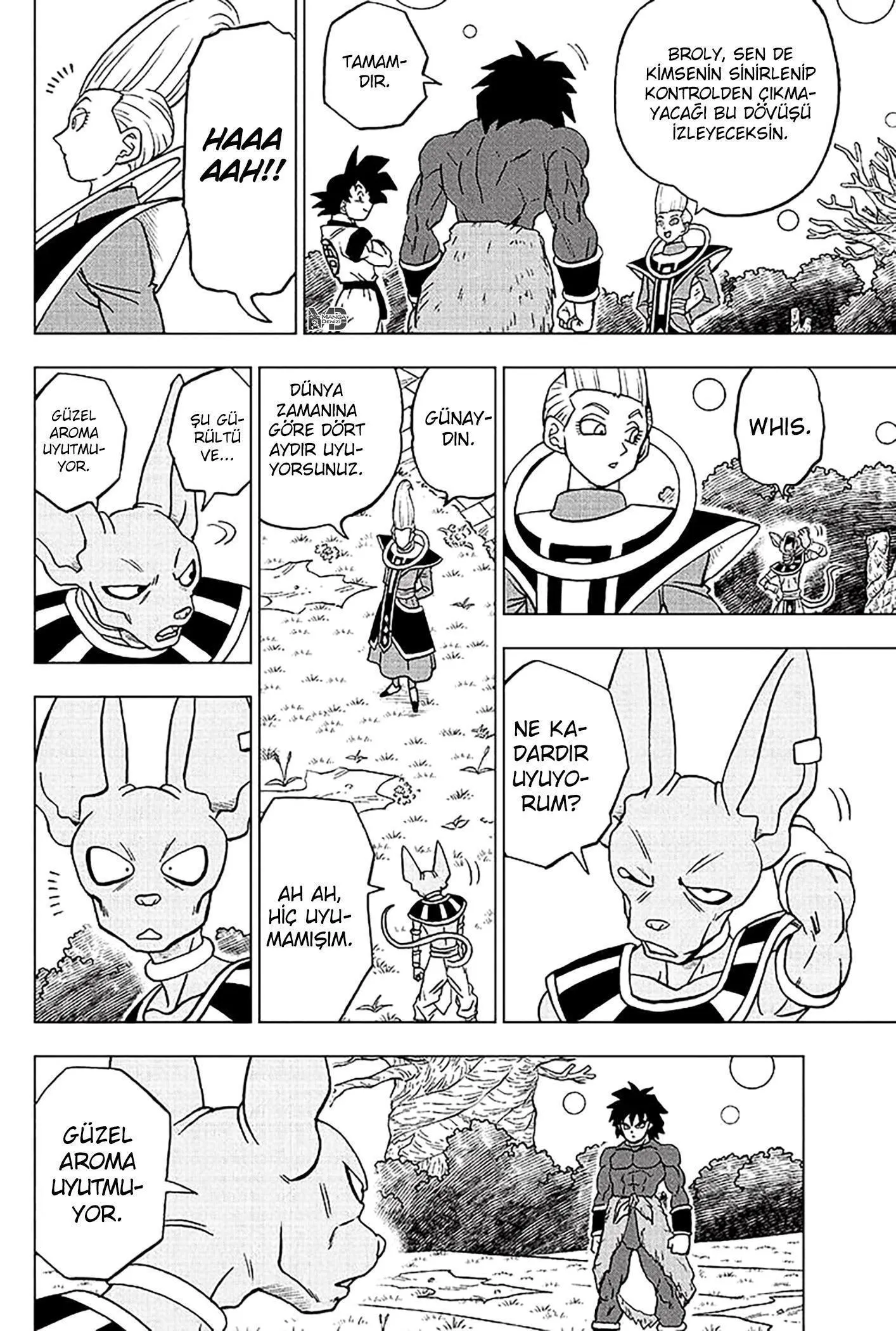 Dragon Ball Super - Sayfa 11