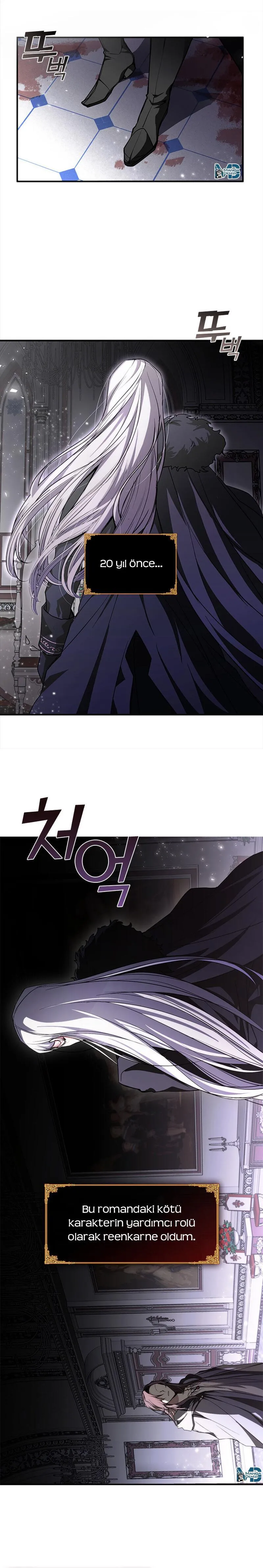 Failed to Abandon The Villain - Sayfa 6