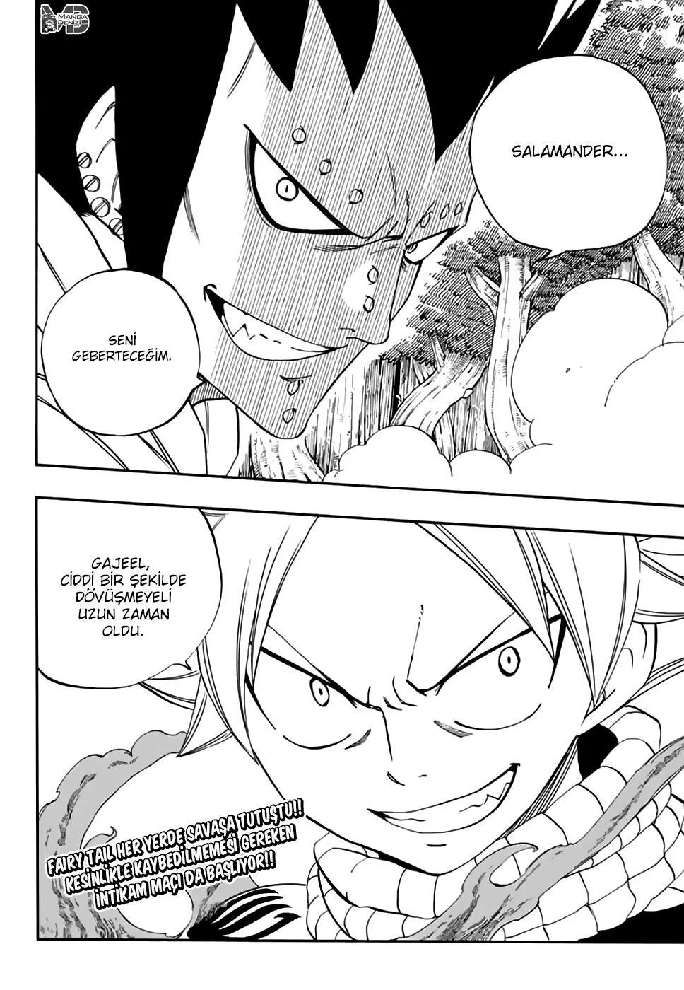 Fairy Tail: 100 Years Quest - Bölüm 030 - Sayfa 21