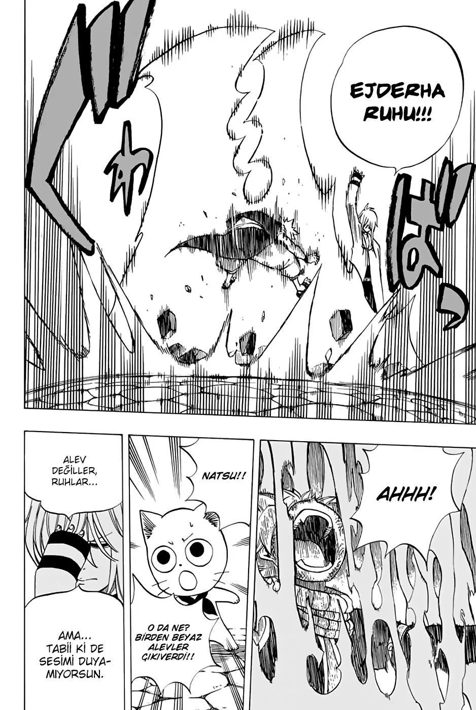 Fairy Tail: 100 Years Quest - Sayfa 19