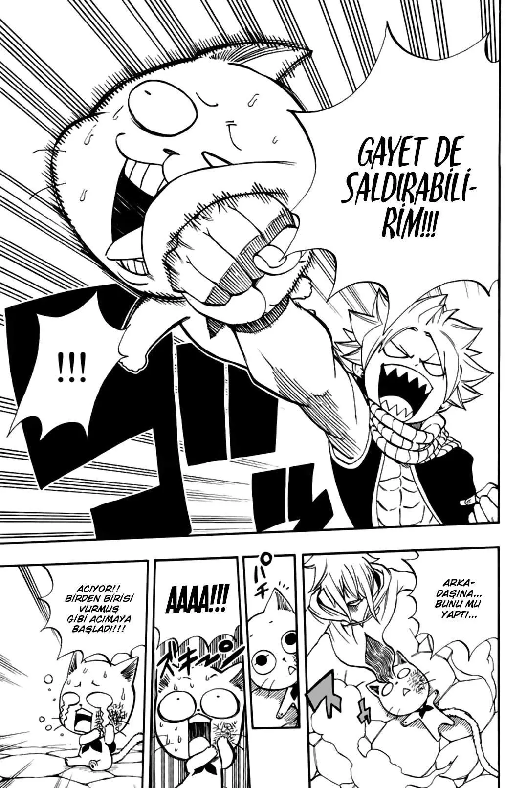 Fairy Tail: 100 Years Quest - Sayfa 6
