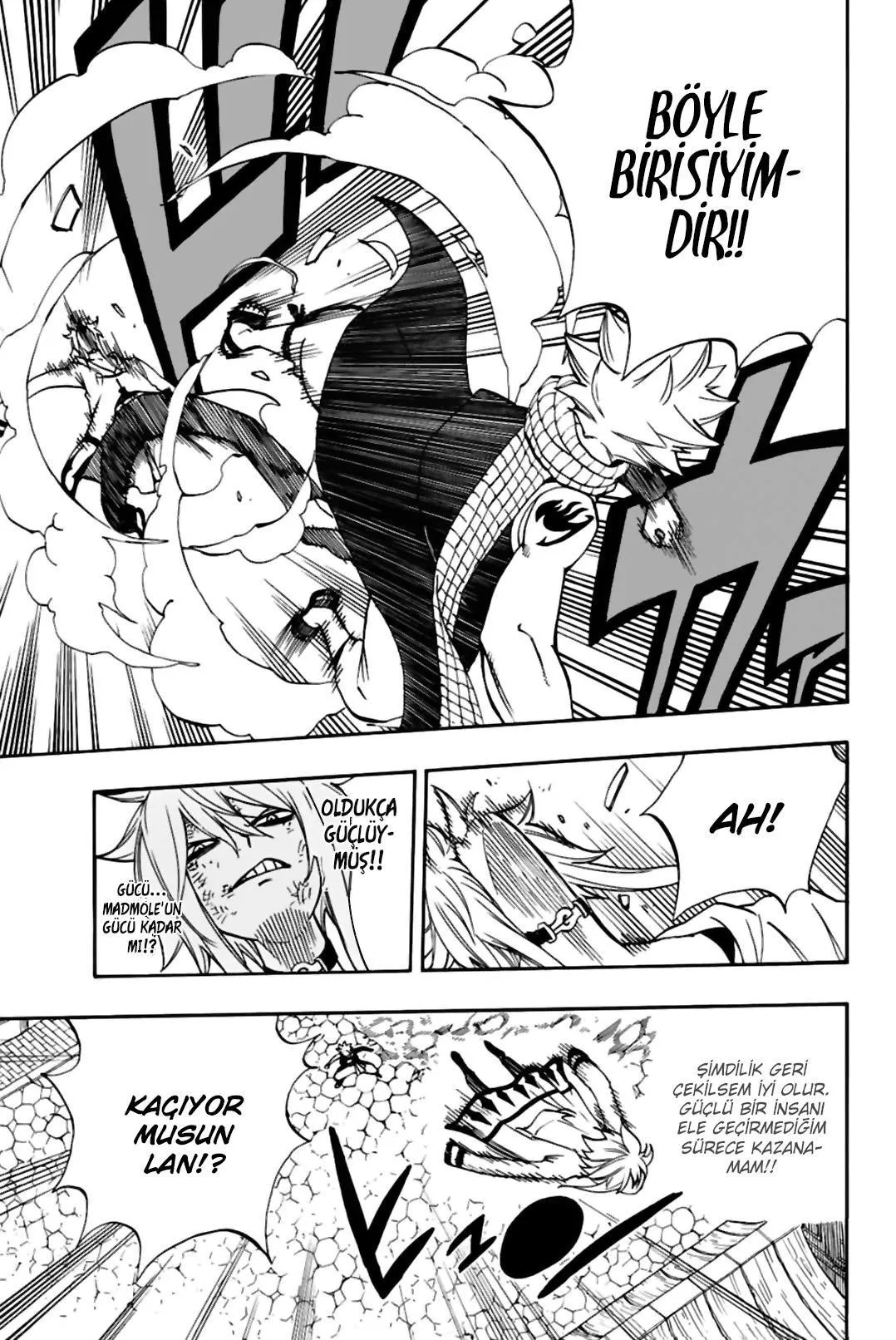 Fairy Tail: 100 Years Quest - Sayfa 8