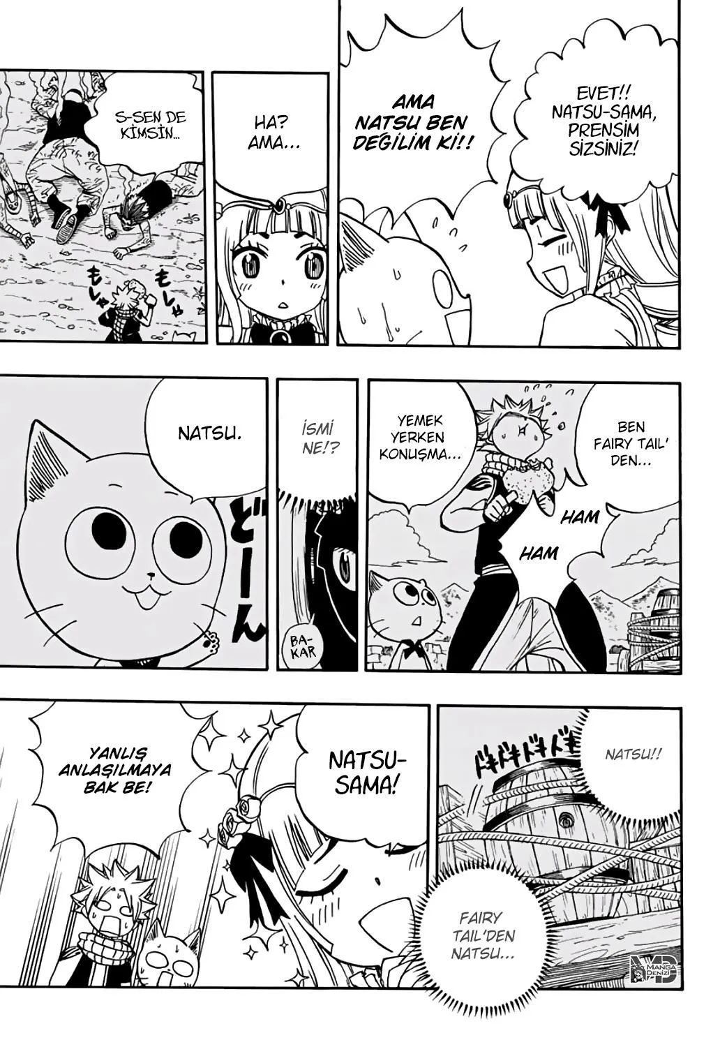 Fairy Tail: 100 Years Quest - Sayfa 12