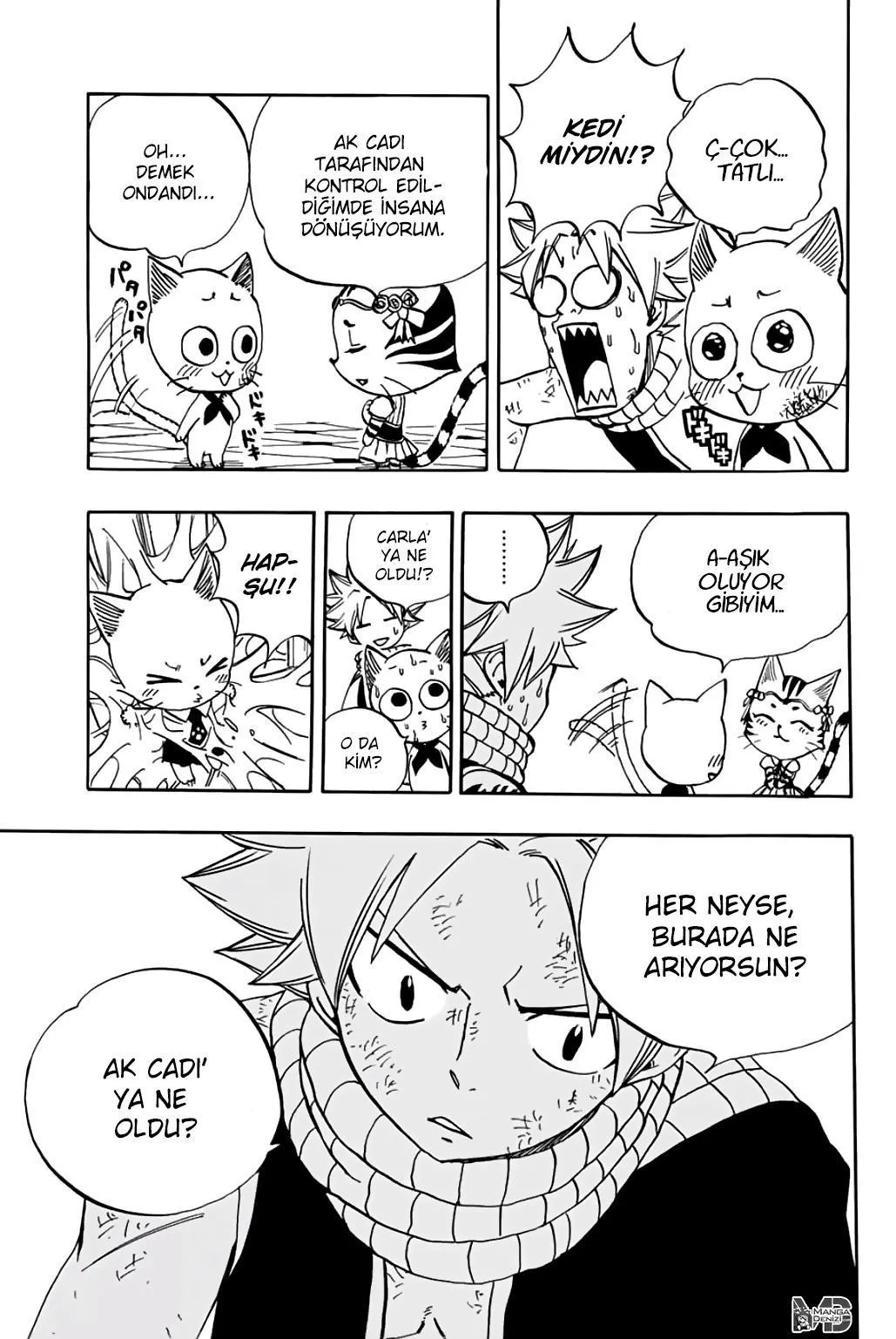 Fairy Tail: 100 Years Quest - Sayfa 16