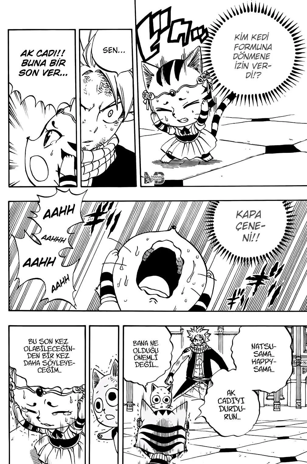 Fairy Tail: 100 Years Quest - Sayfa 19