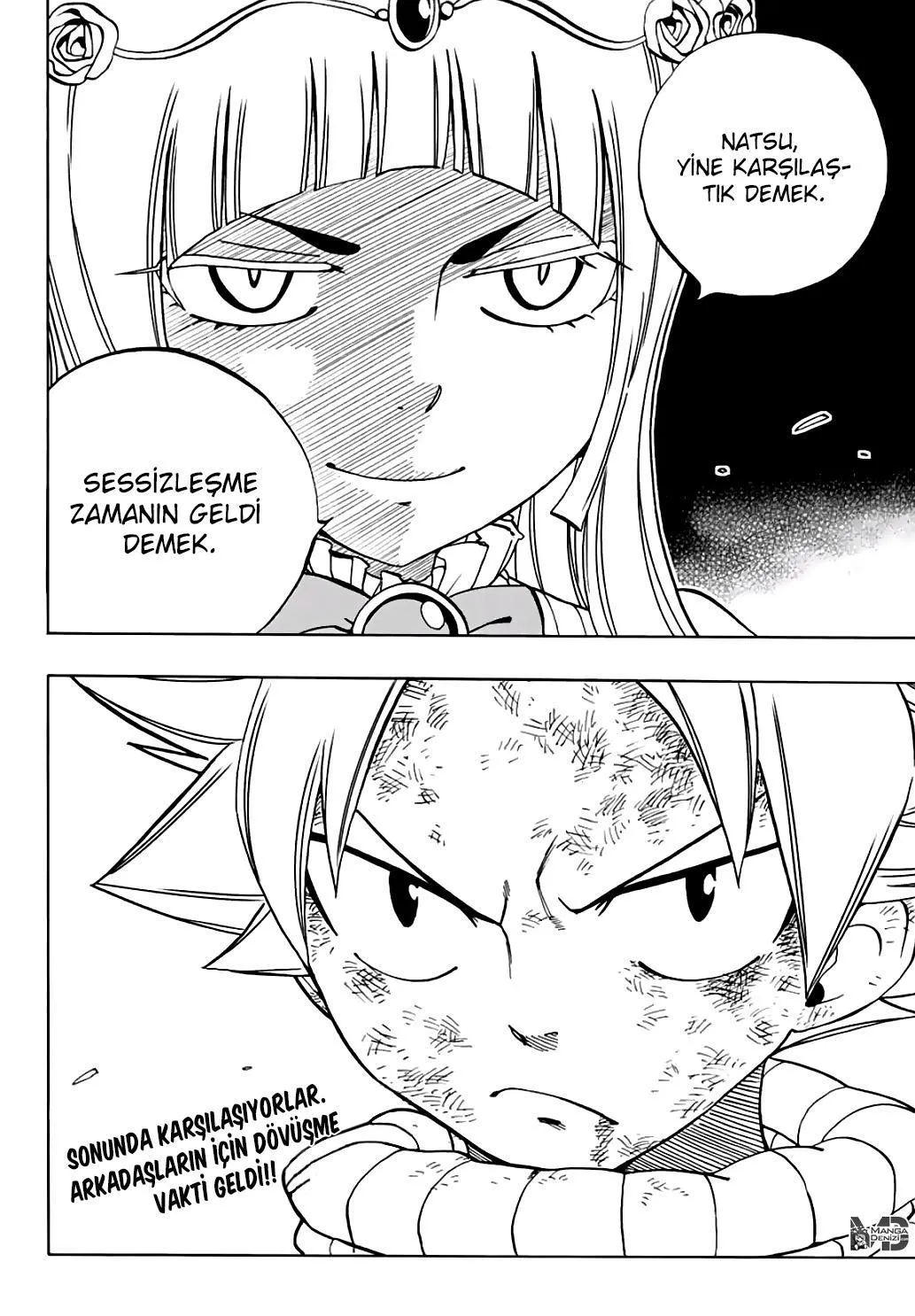 Fairy Tail: 100 Years Quest - Bölüm 045 - Sayfa 21