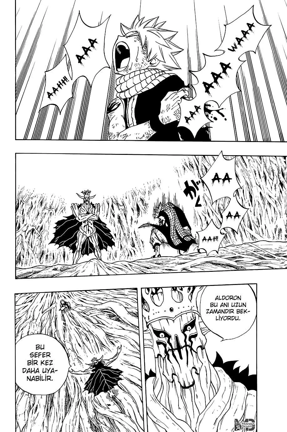 Fairy Tail: 100 Years Quest - Sayfa 3