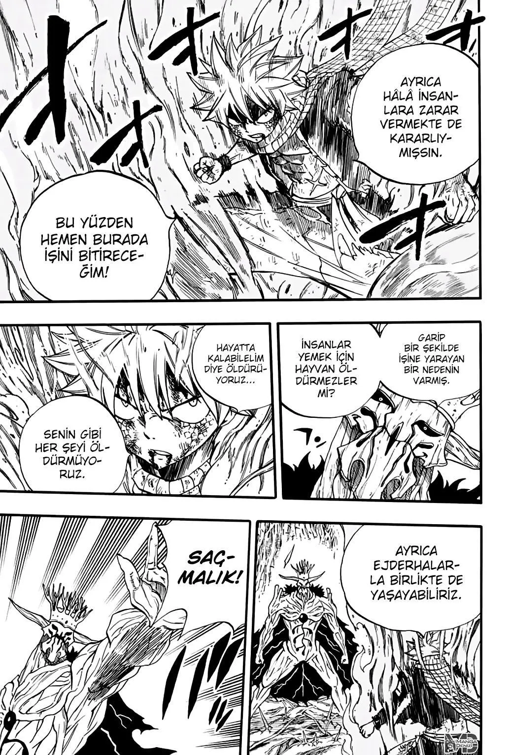 Fairy Tail: 100 Years Quest - Sayfa 12