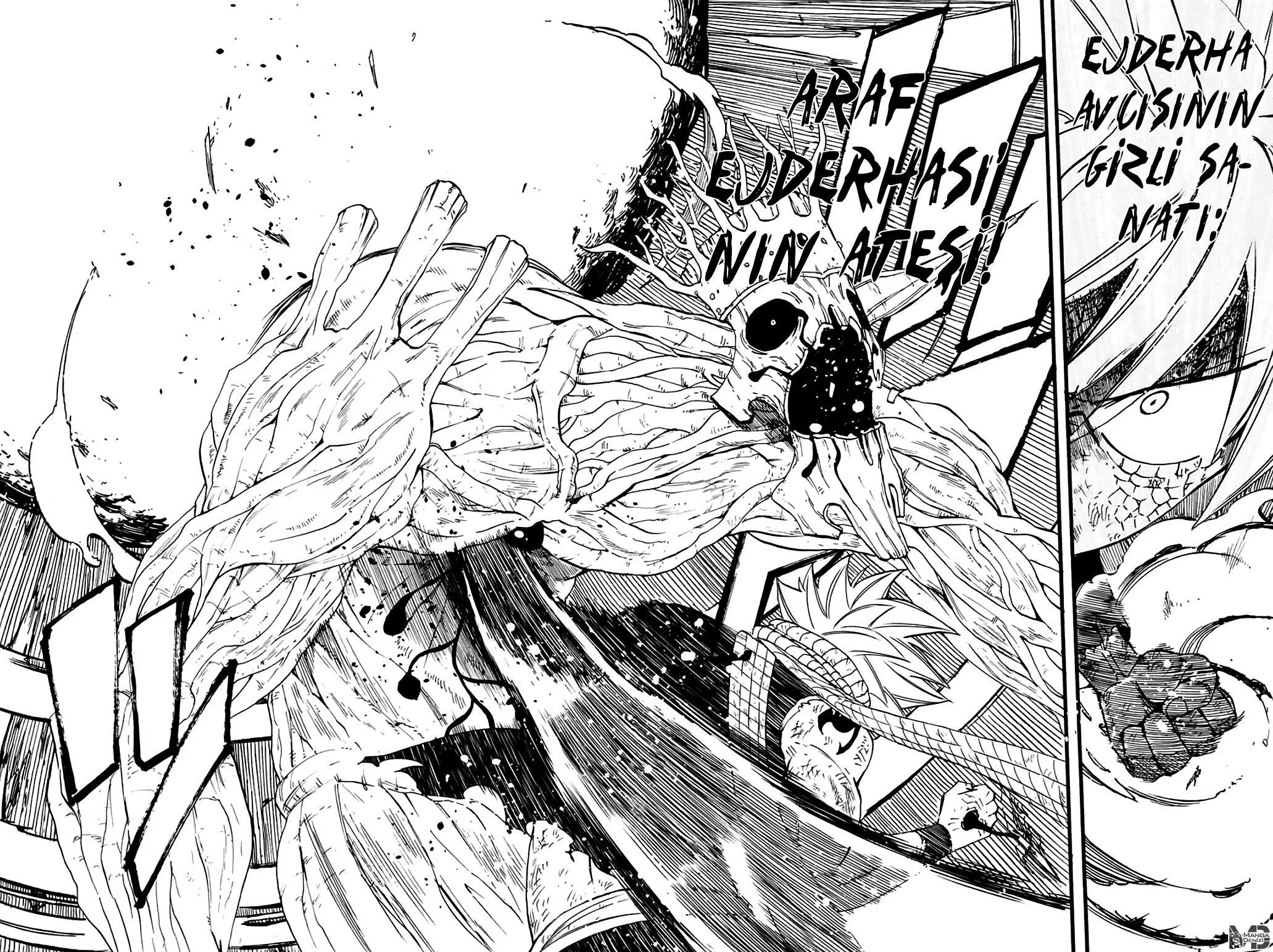 Fairy Tail: 100 Years Quest - Sayfa 15