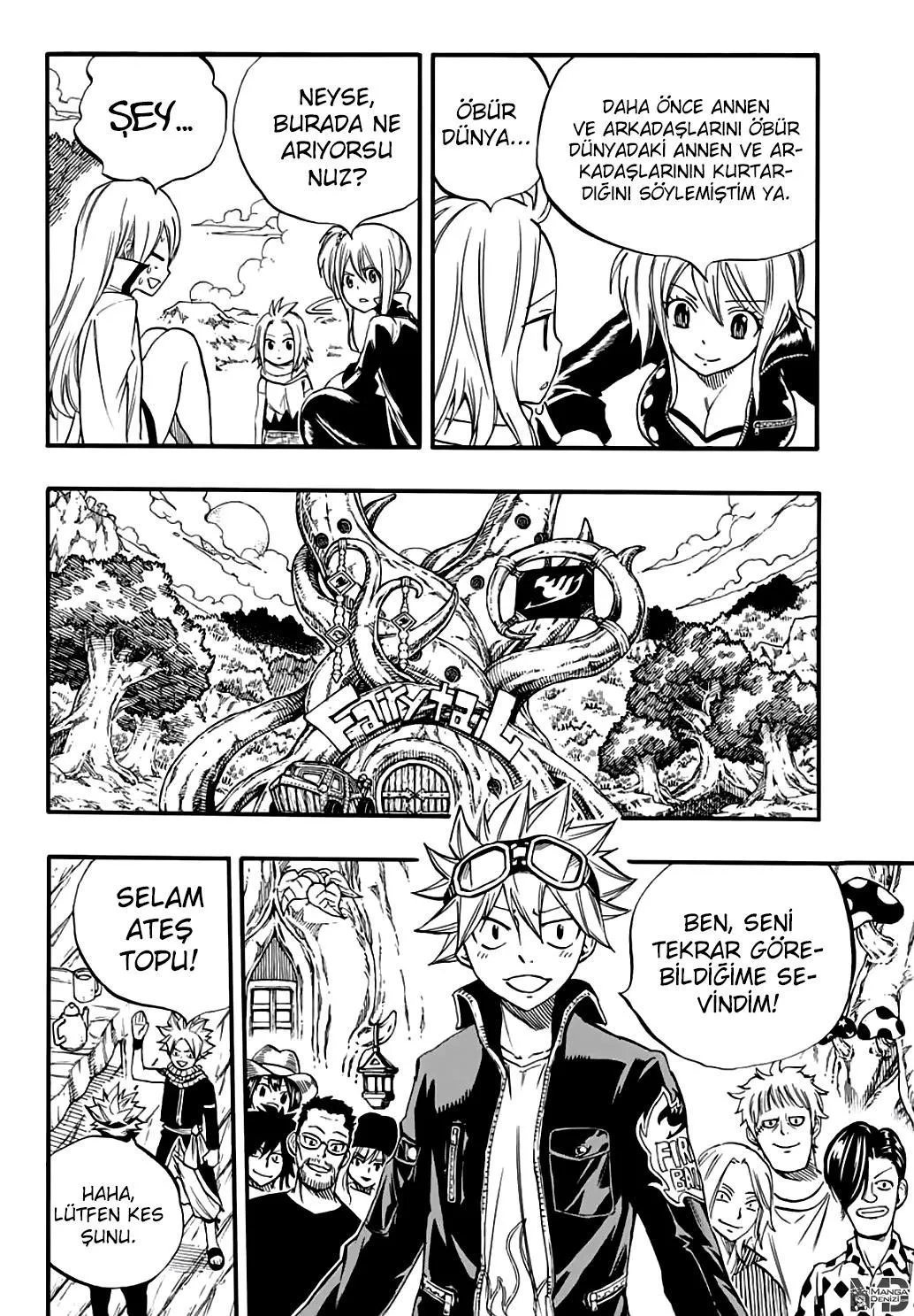 Fairy Tail: 100 Years Quest - Sayfa 17
