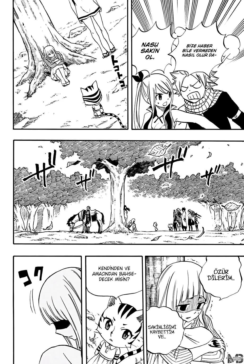 Fairy Tail: 100 Years Quest - Sayfa 19