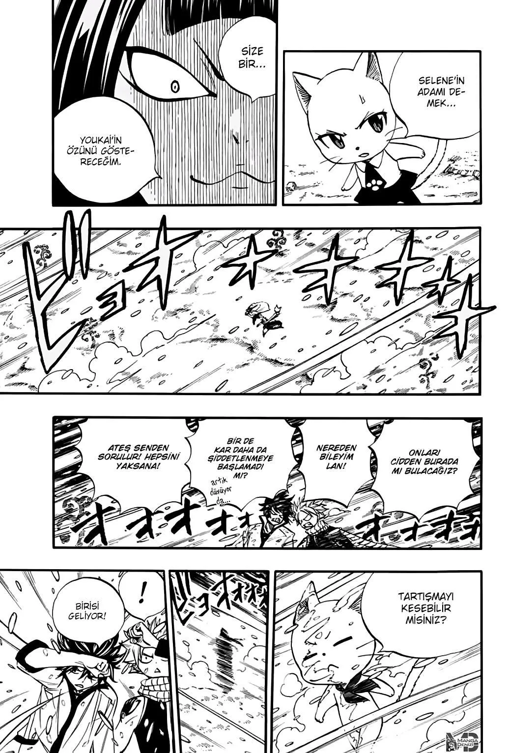 Fairy Tail: 100 Years Quest - Sayfa 14