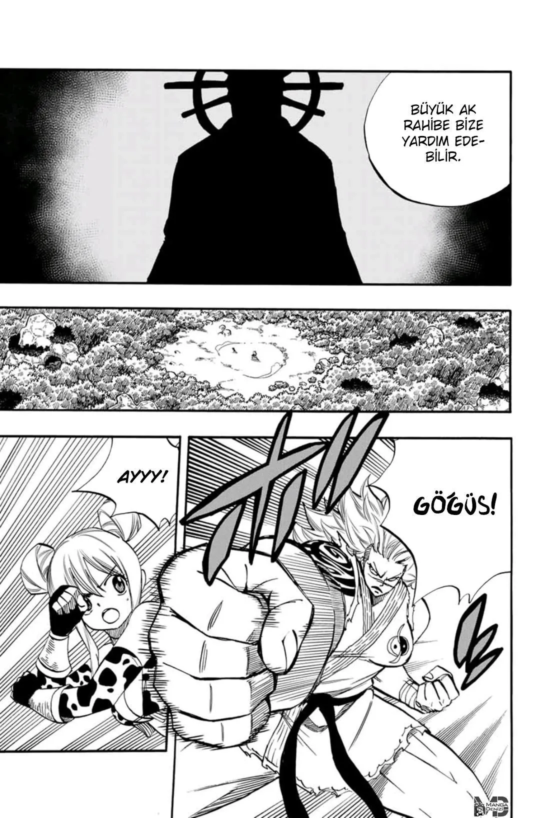 Fairy Tail: 100 Years Quest - Sayfa 4