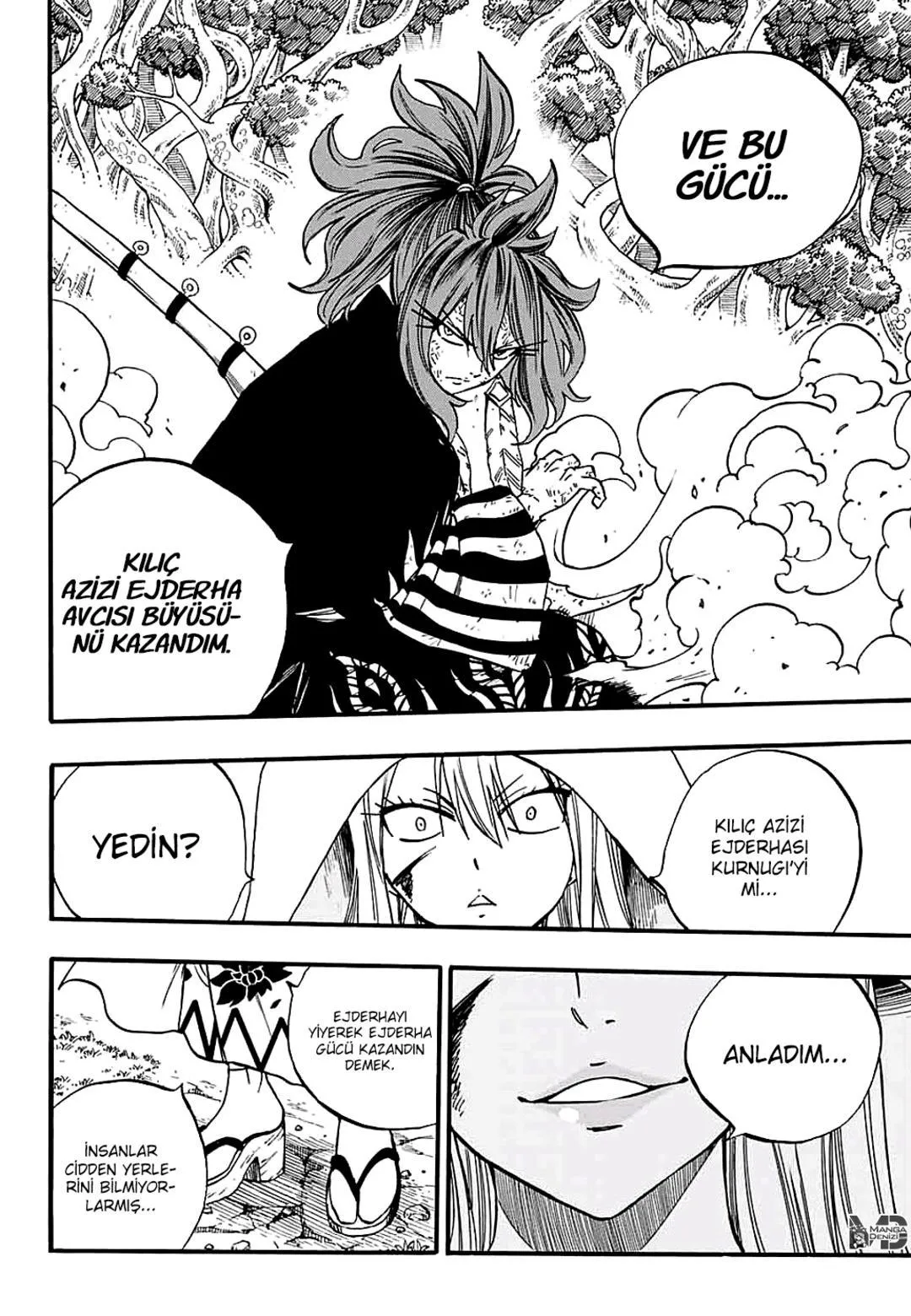 Fairy Tail: 100 Years Quest - Sayfa 11