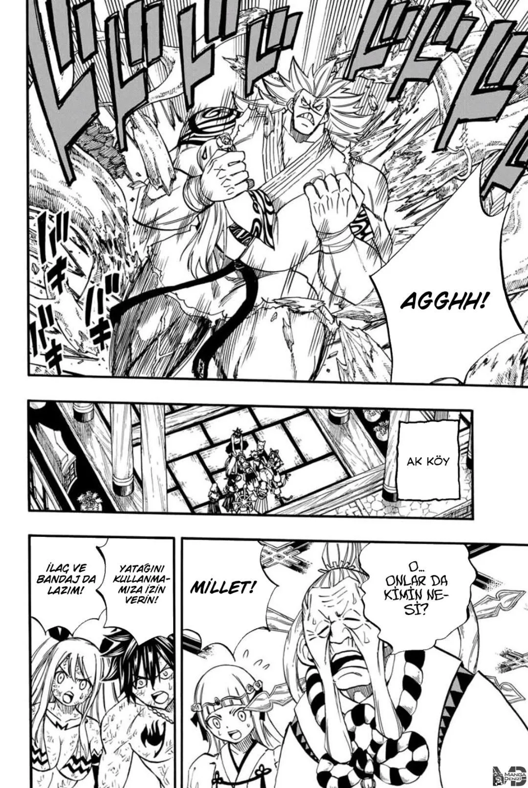 Fairy Tail: 100 Years Quest - Sayfa 17