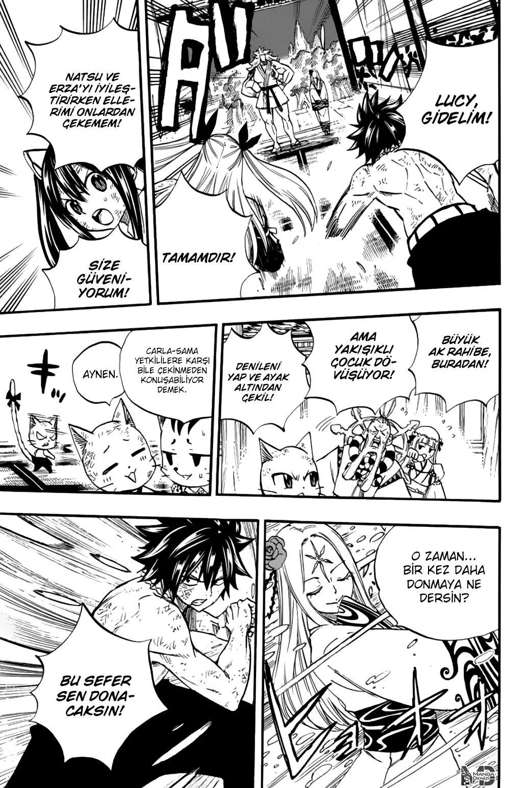 Fairy Tail: 100 Years Quest - Sayfa 14