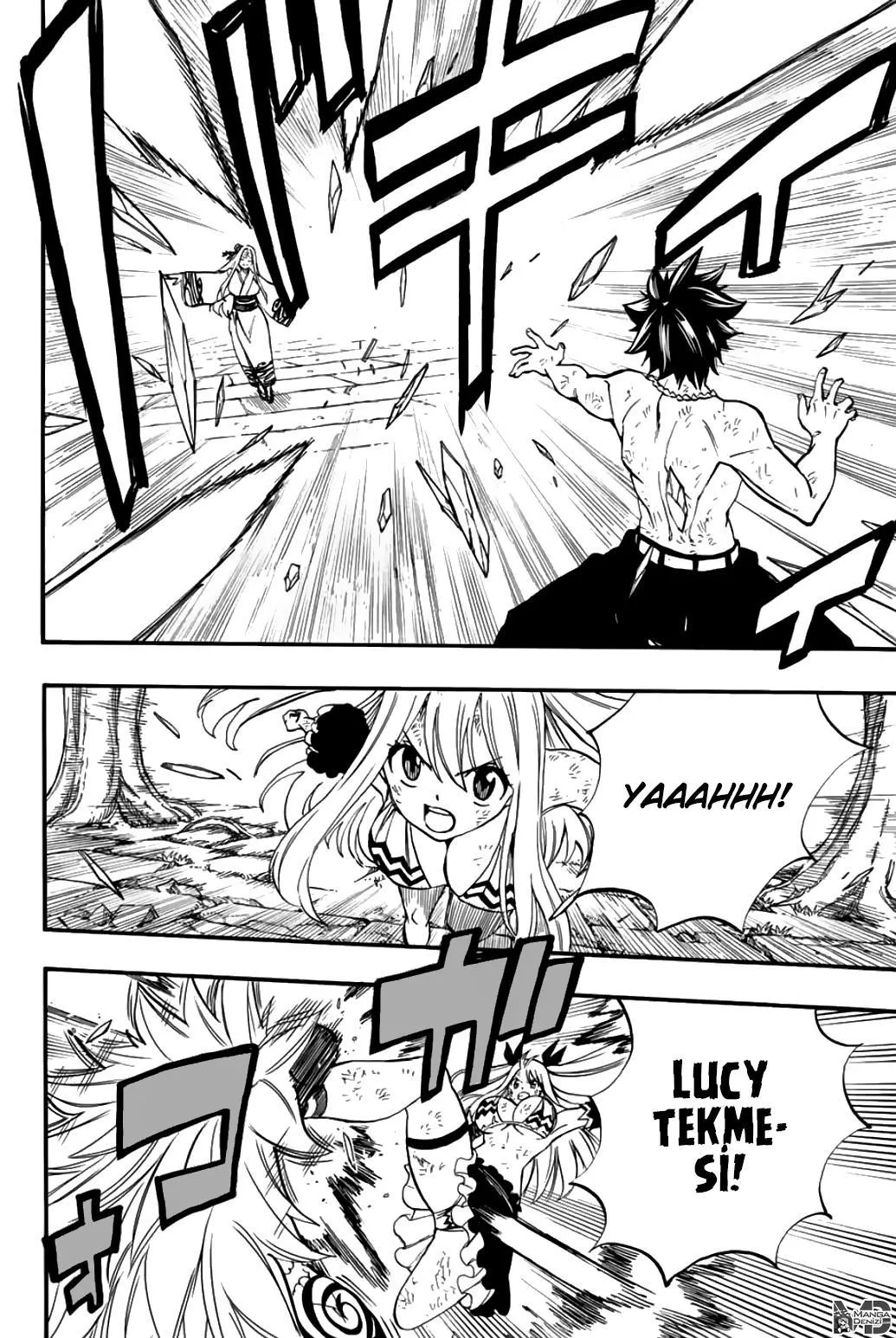 Fairy Tail: 100 Years Quest - Sayfa 15