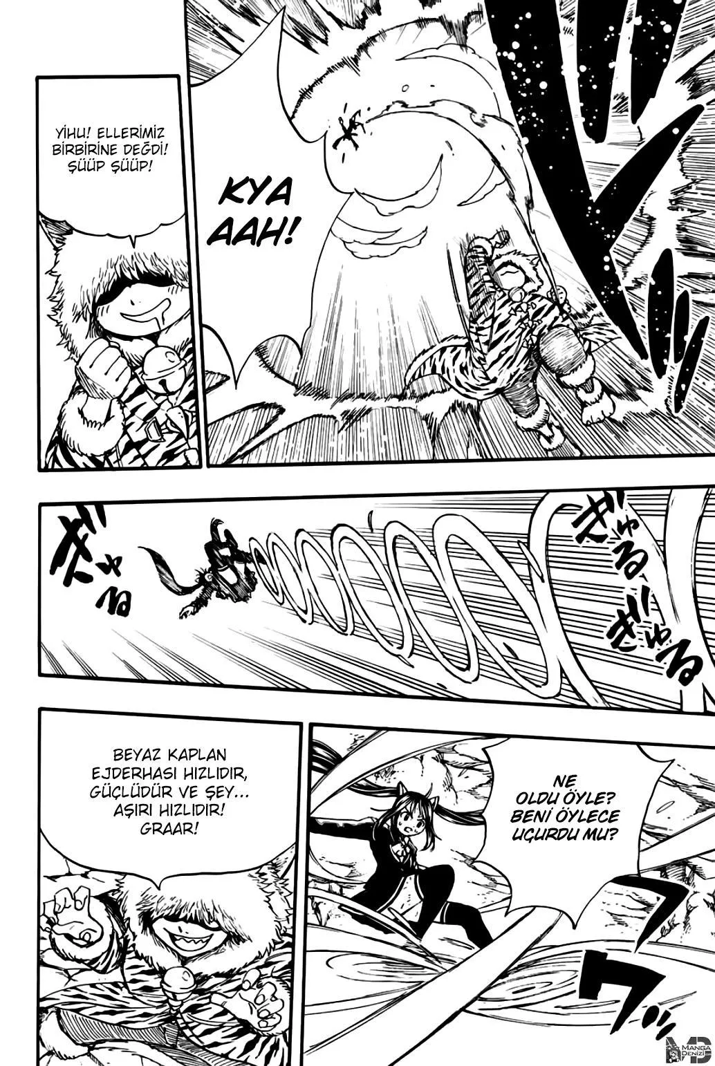 Fairy Tail: 100 Years Quest - Sayfa 11