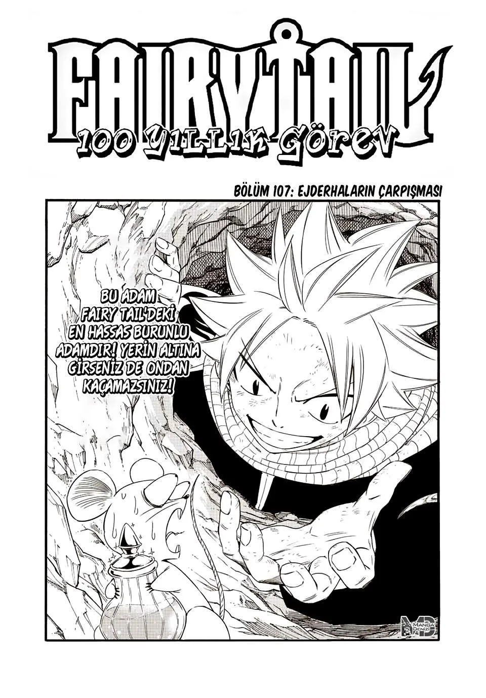 Fairy Tail: 100 Years Quest - Sayfa 2