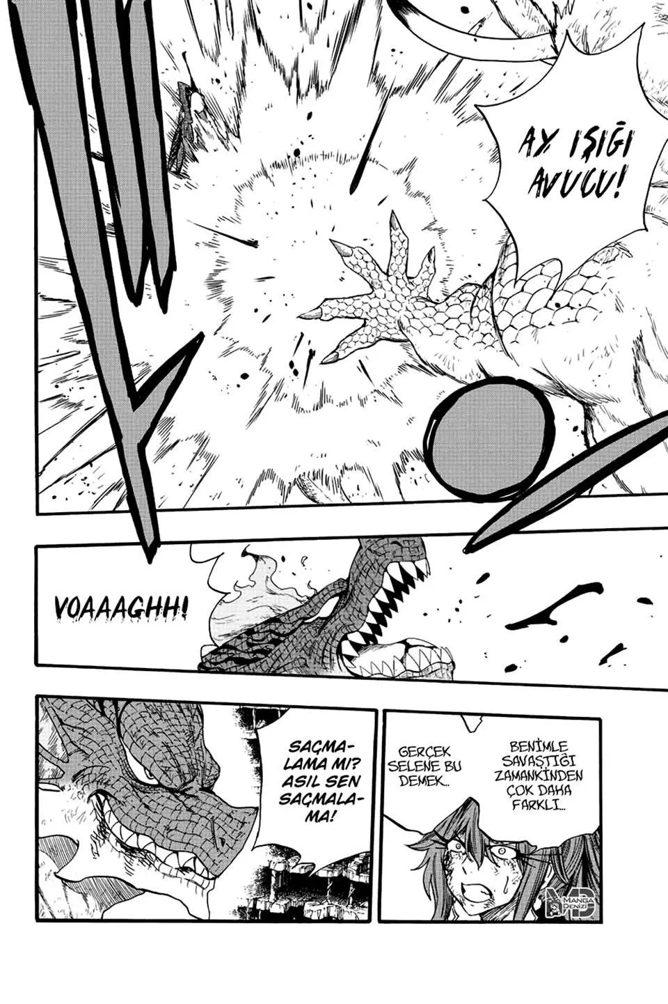 Fairy Tail: 100 Years Quest - Sayfa 11