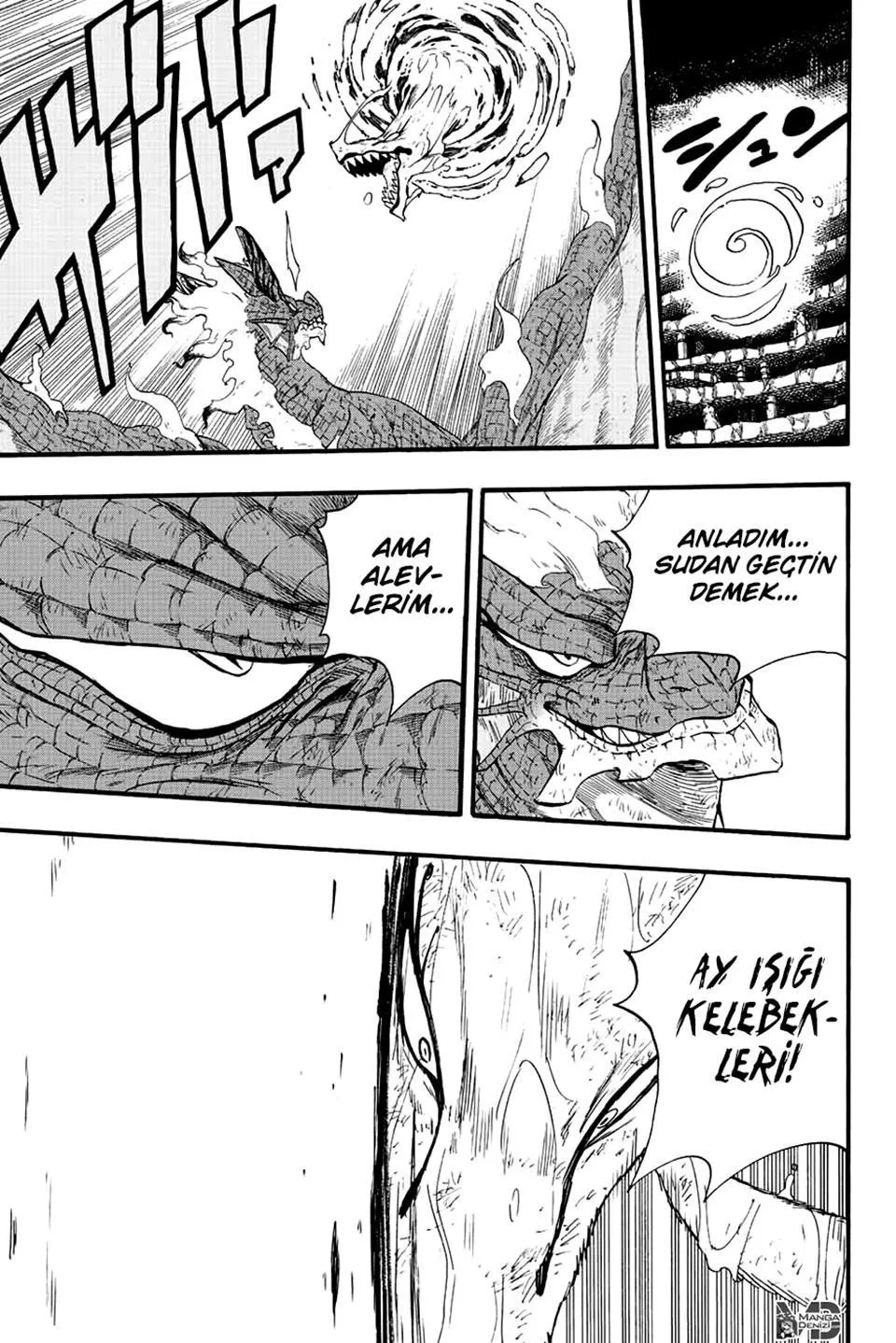 Fairy Tail: 100 Years Quest - Sayfa 14