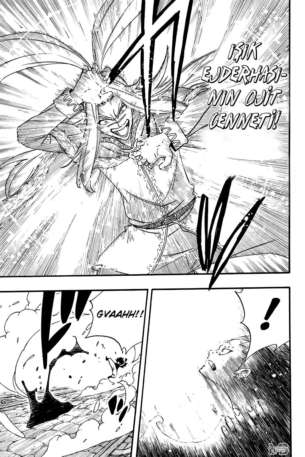 Fairy Tail: 100 Years Quest - Sayfa 14