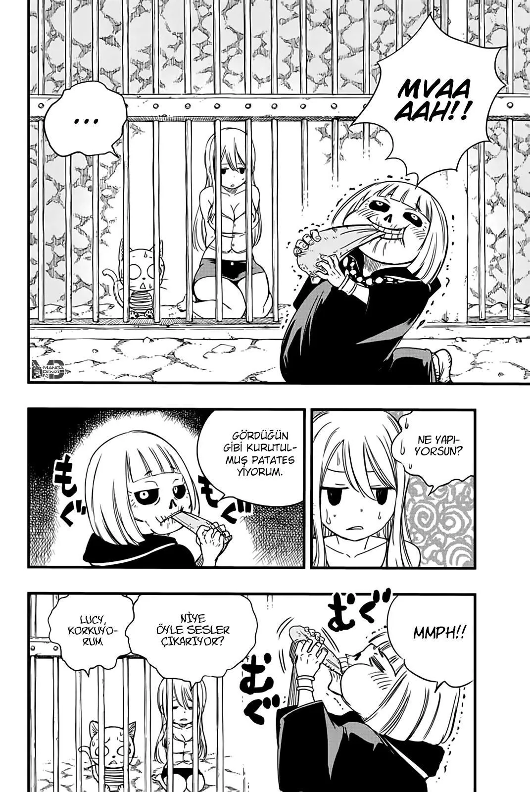 Fairy Tail: 100 Years Quest - Sayfa 17